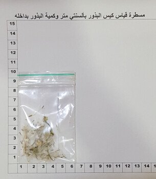 بذور صحارينا