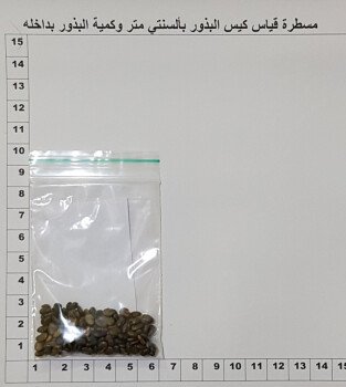 بذور صحارينا