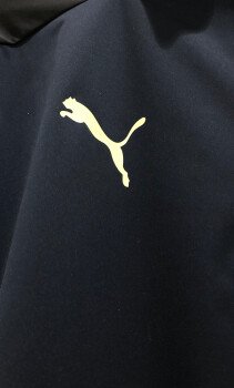ABF1