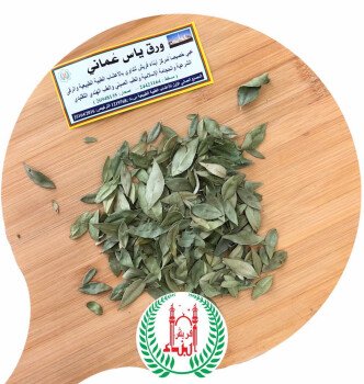 أبناء فريش