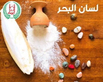 أبناء فريش