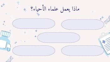 🌟 STAR 🌟