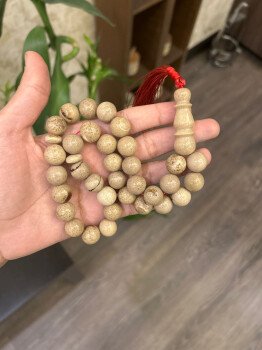 متجر بلو للسبح