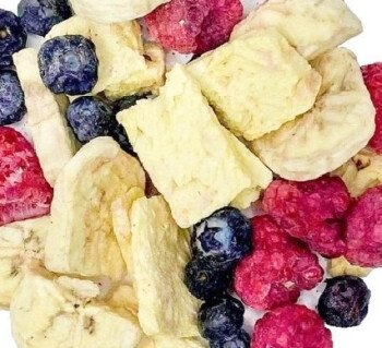 سيدار مانشيز😋