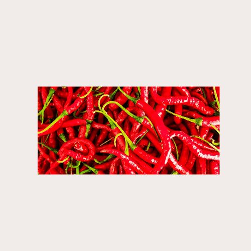 TorcarFoods