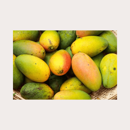 TorcarFoods