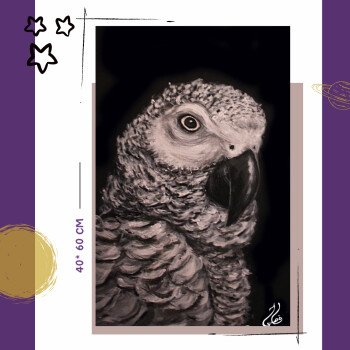 Falak ART| فلك للفنون🌟