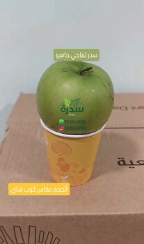 متجر سدرة الزراعي