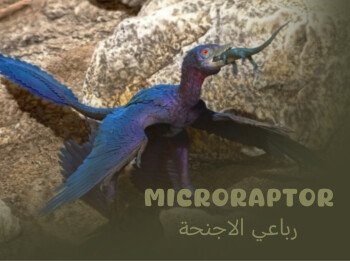 dino