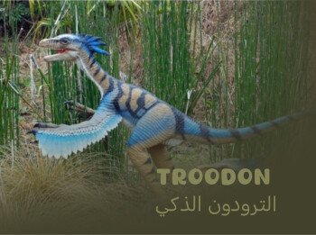 dino