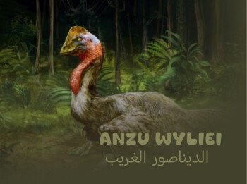 dino
