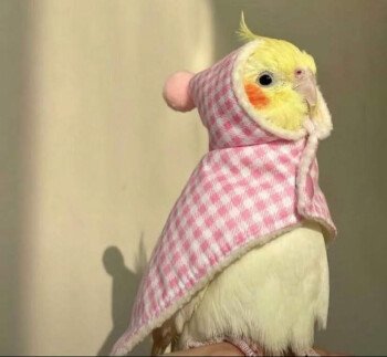 loro