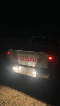 مورقن