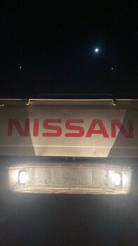 مورقن