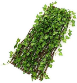 بيت العشب