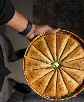 حلا برنس