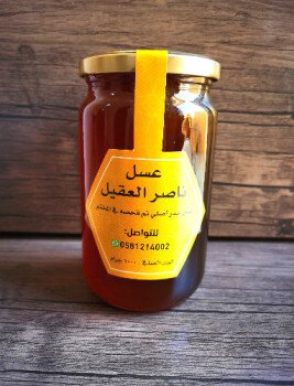 مناحل ناصر العقيل