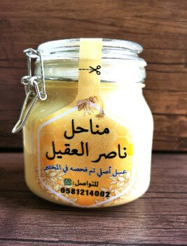 مناحل ناصر العقيل