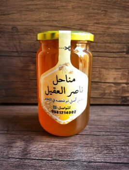 مناحل ناصر العقيل