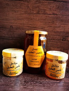مناحل ناصر العقيل