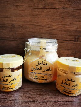 مناحل ناصر العقيل