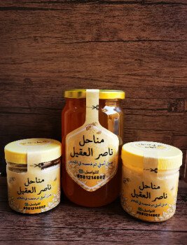 مناحل ناصر العقيل