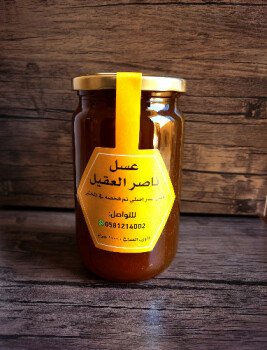 مناحل ناصر العقيل
