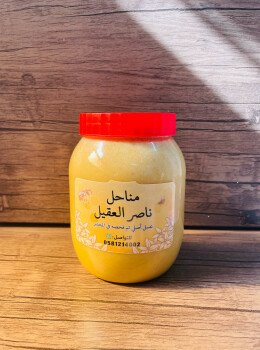 مناحل ناصر العقيل