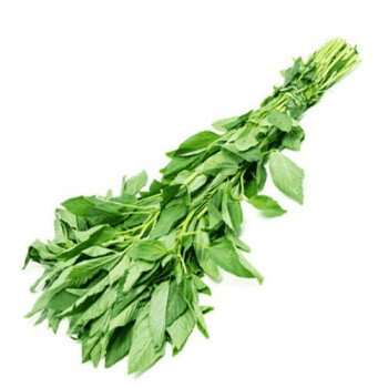 البستان