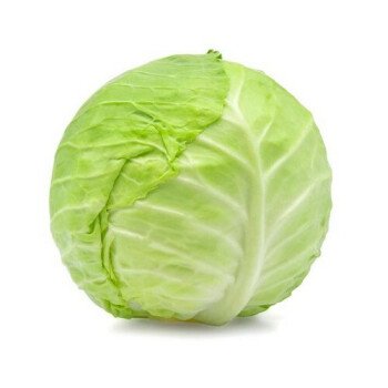 البستان
