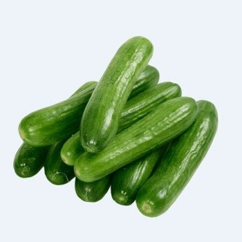 البستان
