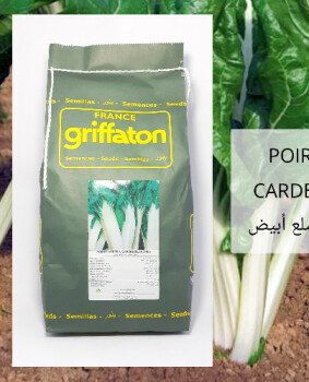 مجمع الصنوان