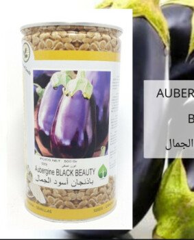 مجمع الصنوان
