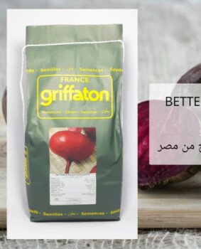 مجمع الصنوان