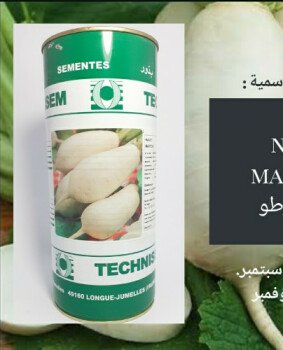 مجمع الصنوان