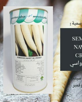 مجمع الصنوان