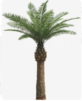 متجر زرعة