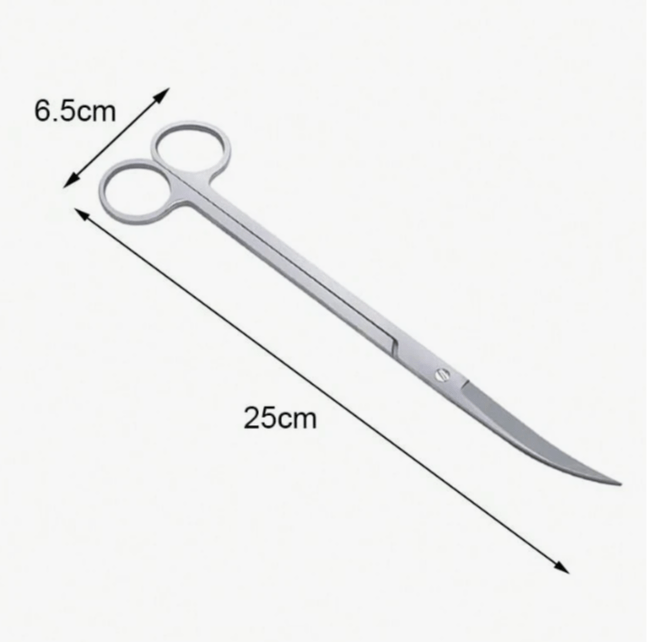 ناتشورال كالتشر