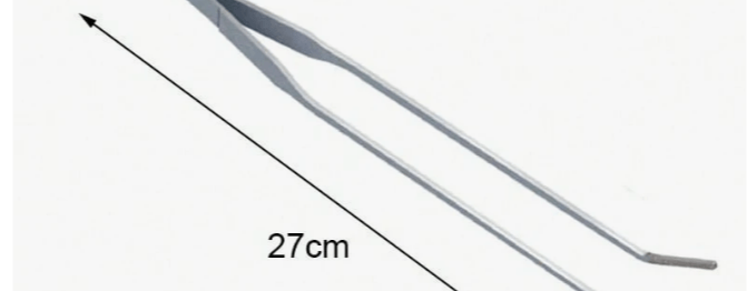 ناتشورال كالتشر