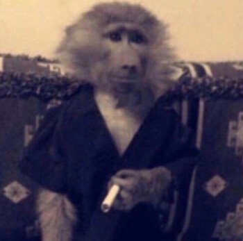 مدري