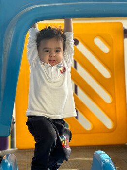 مدارس تالات