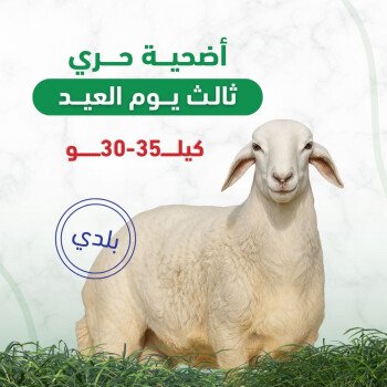 مسار الهنا | Massar Alhana