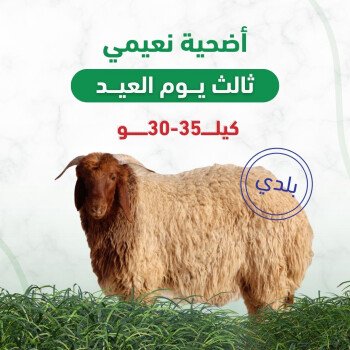 مسار الهنا | Massar Alhana