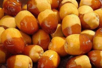 خيرات المدينة