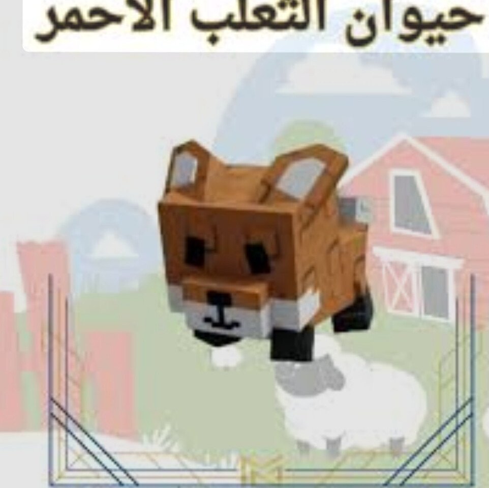 البدر/ALBADER