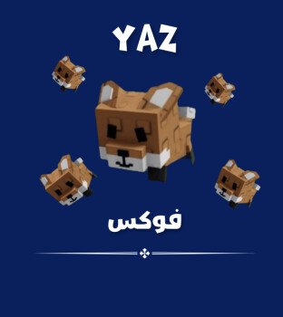 YAZ