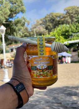 issafarn bio souss