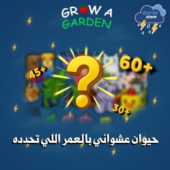 ستورم ستور