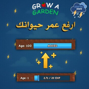ستورم ستور