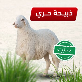مسار الهنا | Massar Alhana